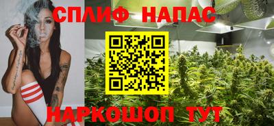 амф Бердск