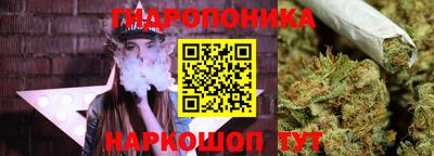 СК Ачхой-Мартан