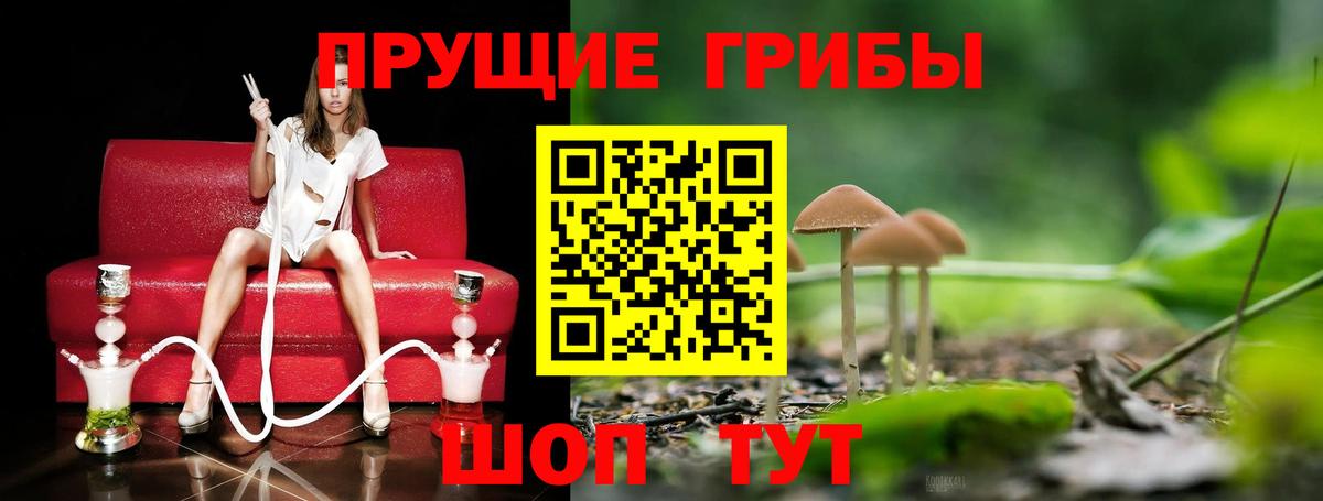 Великий Устюг  Псилоцибиновые грибы Psilocybine cubensis  Вход с VPN  Галлюциногенные грибы ЛСД 